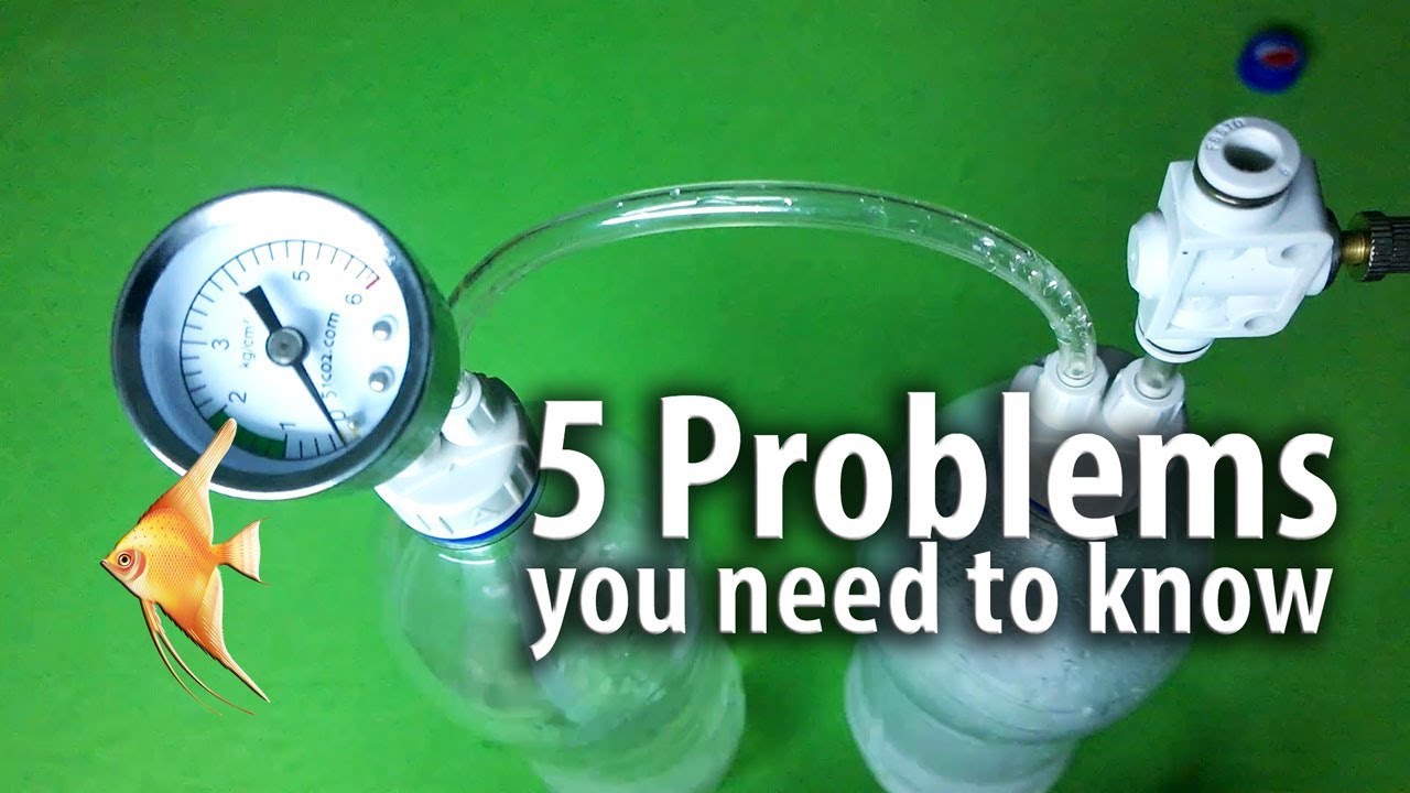 5 Problems Of Diy Co2 System That You Need To Know Youtube 5 Problems Of Diy Co2 System That You Need To Know Youtube