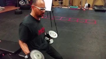 Biceps Curls | Allen Thompson