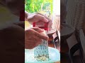 Nice ASMR Video of Grating Cassava #asmrsounds #satisfying #grating #asmrvideo