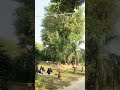 Beautiful place Sarnath