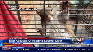 Man wanted for allegedly feeding meth to attack squirrel