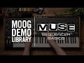 Muse | Sequencer Basics