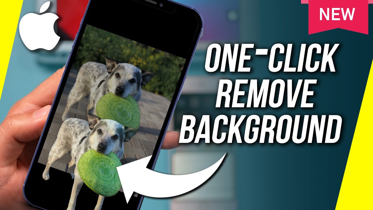 How to Remove Background from a Photo on iPhone - New iOS 16 Update -  YouTube