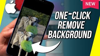 How to Remove Background from a Photo on iPhone - New iOS 16 Update screenshot 4