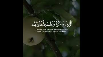 أجمل حالات واتس اب قرآن كريم بدون حقوق بصوت علي صلاح عمر | صوت خاشع يريح القلب❤😴