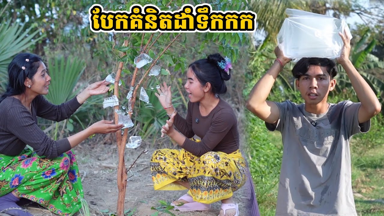រឿង បែកគំនិតដាំទឹកកក