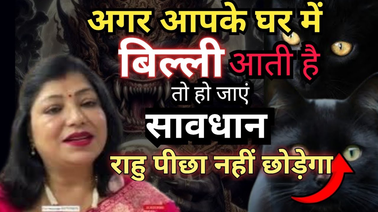घर में बिल्ली आना शुभ-अशुभ  |Cat In House Good Or Bad  | Archana gupta | tips