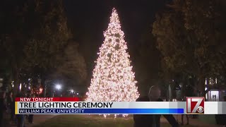 William Peace lights Christmas tree