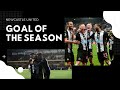 Newcastle United 2019/20 | Goal of the Season