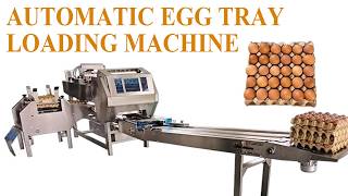 Automatic Egg Tray Loading Machine | 15000–32000 Eggs/Hour Egg Packer