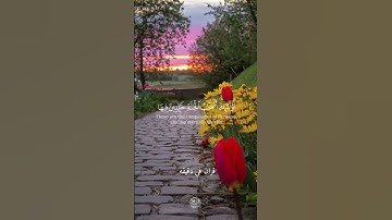 قران كريم ارح قلبك وسمعك #سعد_الغامدي #قران_في_دقيقة #quran #قران #المصحف @قران_في_دقيقة