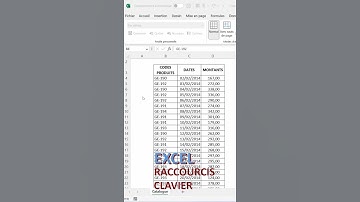 Ajoute Lignes et Colonnes Rapidement ! 💻