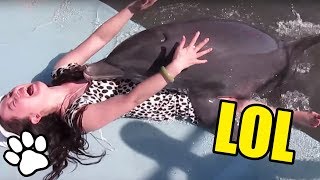 Dolphins are REALLY frickin' WEIRD🐬😂  | Try Not To Laugh | Best Pets EVER!