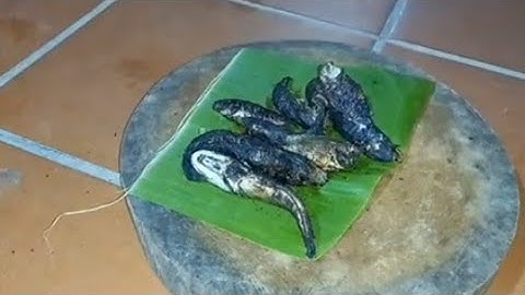 Tát mương bắt cá làm món cá nướng rơm đậm chất dân dã .