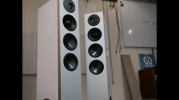 Definitive Technology D15 - English