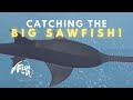 I FINALLY GOT IT! - How to Catch the Big Saw Fish in Fish It Roblox