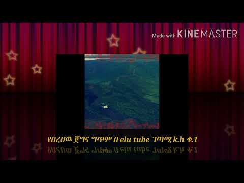 ግጥም በኢሉ የበረሀዉ ጀግና