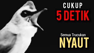 Download Lagu Pancingan Tercepat BUAT MEMANCING EMOSI TRUCUK Agar Cepat GACOR NGALAS NGROPEL PANJANG ‼️ MP3