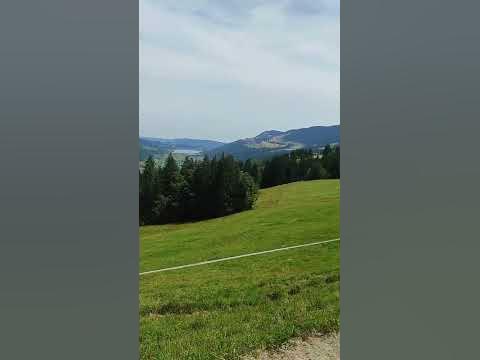 Бавария/ Альпийские луга/ Альпийские коровы/ Bavaria/ Alpine meadows ...