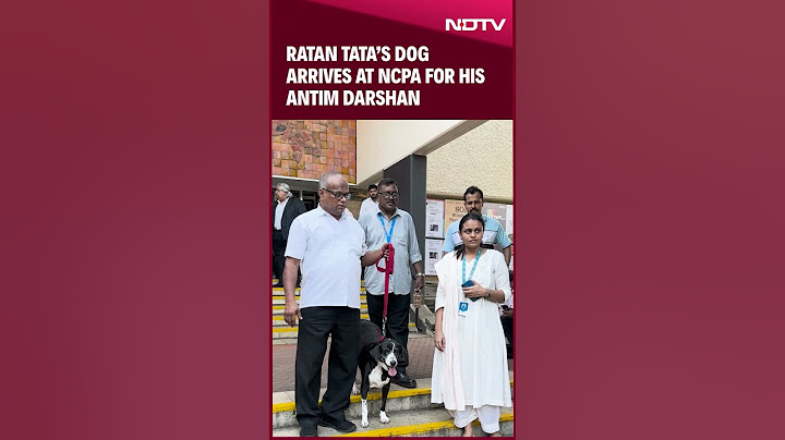 Ratan Tata Funeral | Ratan Tata's Dog Arrives At Funeral Spot In Mumbai
