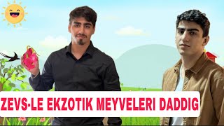 ZEVSLƏ QƏRİBƏ MEYVƏLƏRİ DADDIĞ