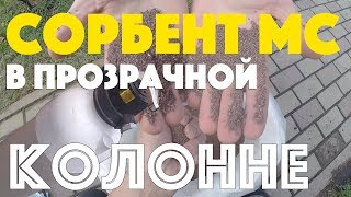 картинка: Сорбент МС в прозрачной колонне
