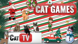 CAT Games | Jingle Paws Wonderland: Festive Feline Fun for Christmas Cats!  | Cat TV