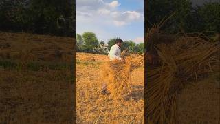 Khet M Pizza Party Kari #viral #pizza #trending #vlog