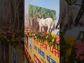 Punjab Farming: Ek Khoobsurat #Jhanki #nature