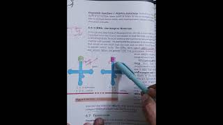 Adapter molecule transfer RNA ANTICODON CLASS12 neet2026# cuet2026# directncertquestions study