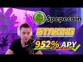 ¡Haz stake de pepecoin ahora! Farming cripto con 952% APY en el top proyecto de 2025