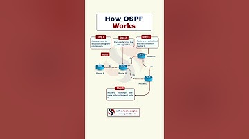 How OSPF Works in Networking | CCNA & CCNP Must-Know Routing Protocol Explained