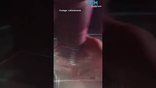 #shorts Drunk driver accidentally reports himself to police