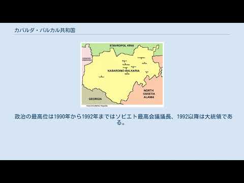 カバルダ馬の飼育は難しい？本当の能力と注意点を経験者が解説