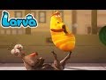 Larva Larva Season 2 Episode 25 31 Larva Cartoon Terbaru Larva New Larva Larva Season 2 Episode 25 31 Larva Cartoon Terbaru Larva New