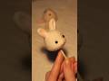 Normal bunny? No, CentiBunny! 🐇💕 #arttoy #calicocritters #sylvanianfamilies #3dprint #halloween
