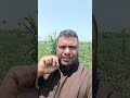 الجو نار الجو نار