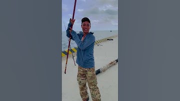 Cá Bè Lão. Câu cá biển Ninh Thuận. #câucá