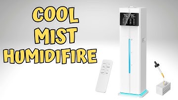 I Tried a Massive Humidifier and Here’s What Happened!