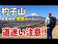 【道迷い注意】杓子山で富士山を見ながら春を満喫してきた!|山梨百名山-春山登山-