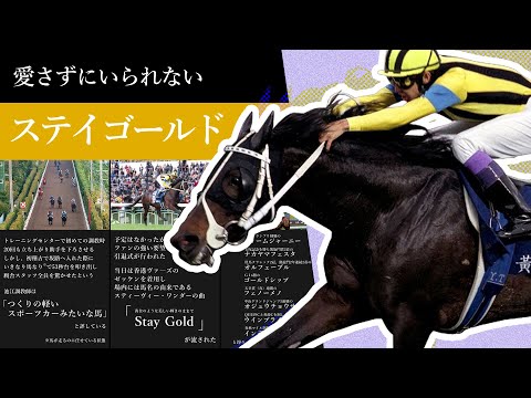 【ステイゴールド / 早わかり】黄金旅程、長い旅路の終わりに。