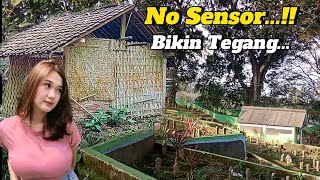 Legendaris..!!Bangun Rumah Nyentrik Sendirian Di Dekat Makam Terpencil Di Pedalaman Jawa Tengah