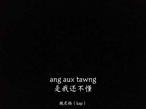 佤族歌曲 （是我还不懂）唱：魏尼搞kap
