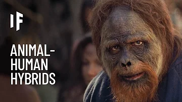 Can animals be anthropomorphic?