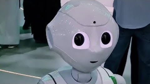Gitex Global 2023 Robots Showcased on Day 3