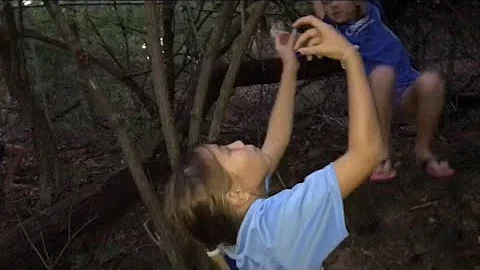 Babysitting fun in the woods