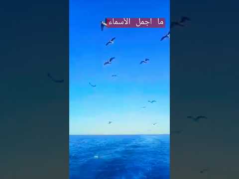 القلب المفتوح اجمل الأسماء ماجدة الرومي القلب المفتوح