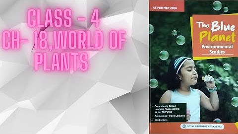 Class 4 | ch 18,World of Plants. Explanation and Exam Prep| #science