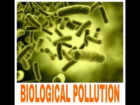 biological pollution