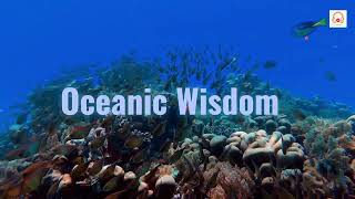 Study Music I Relexing I Ambient (OCEANIC WISDOM)